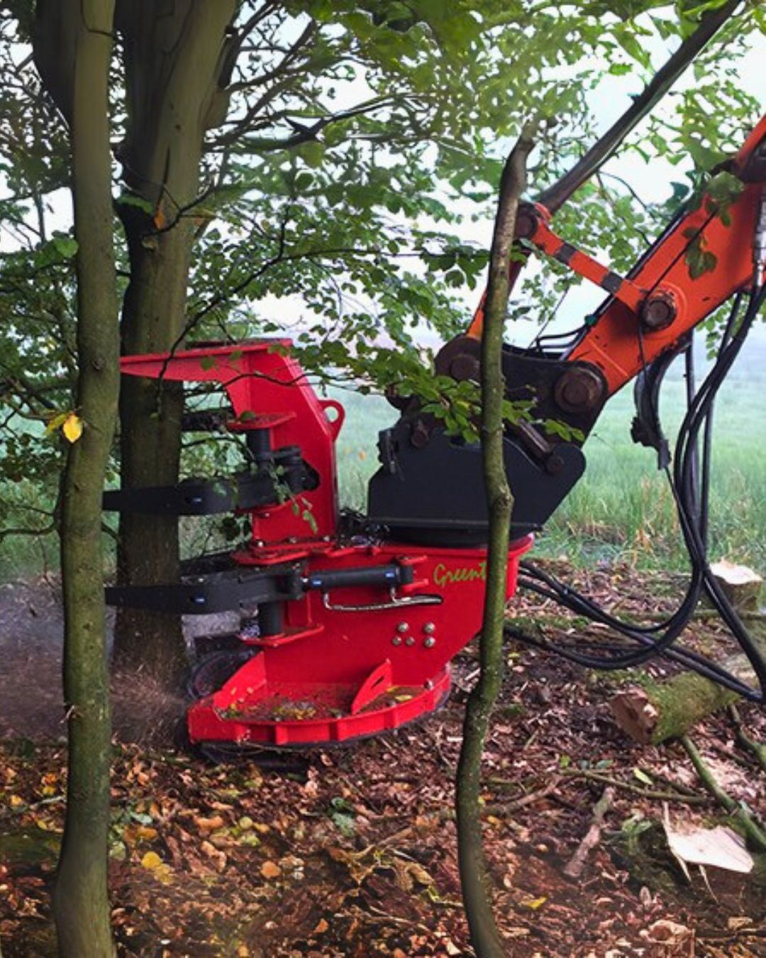 Rębak w pracy – wyrzut zrębki